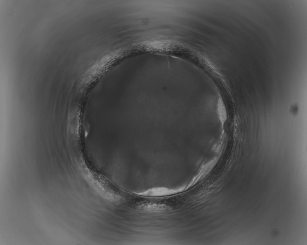 X0000116480637201001061121