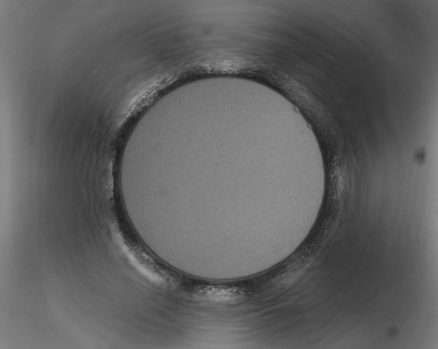 X0000116480638201001061121