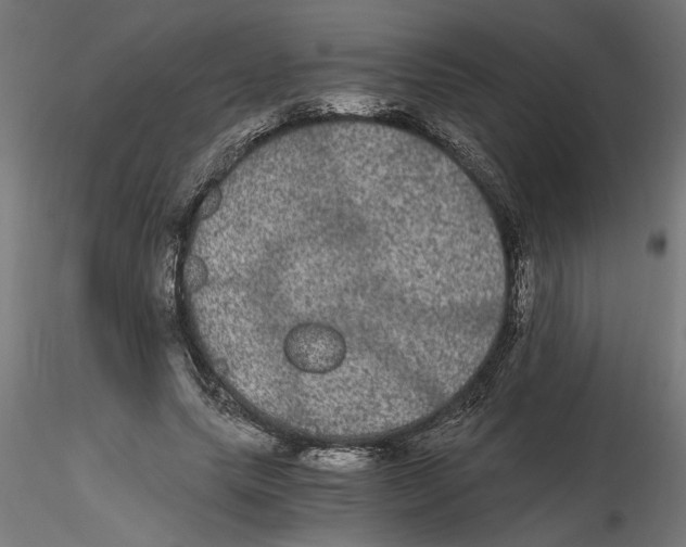 X0000116480639201001061121