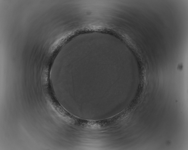 X0000116480640201001061121