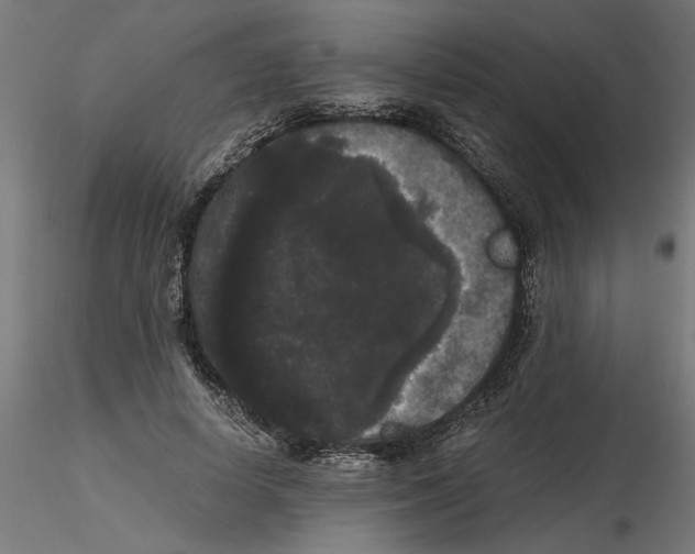 X0000116480642201001061121