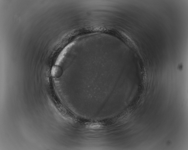 X0000116480643201001061121