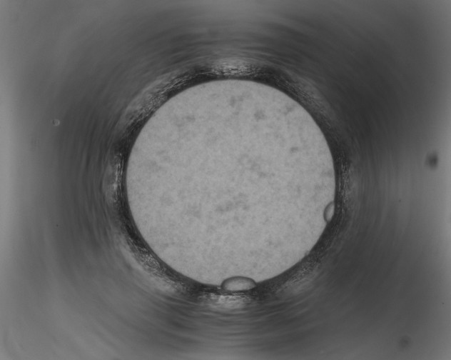 X0000116480645201001061121