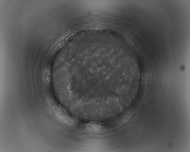 X0000116480648201001061121