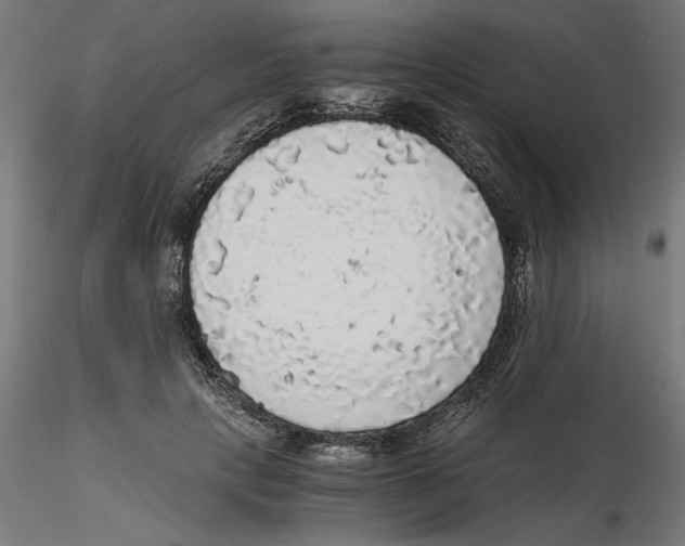 X0000116480649201001061121