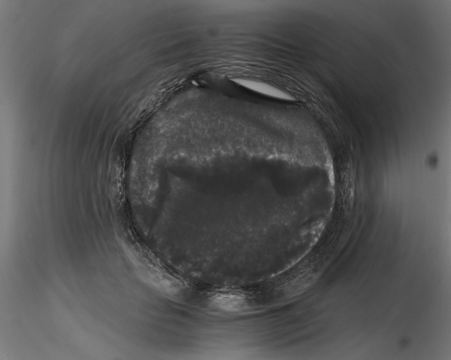 X0000116480653201001061121