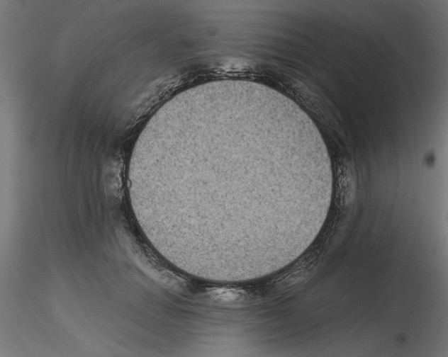 X0000116480654201001061121