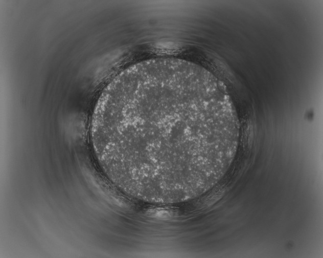 X0000116480655201001061121