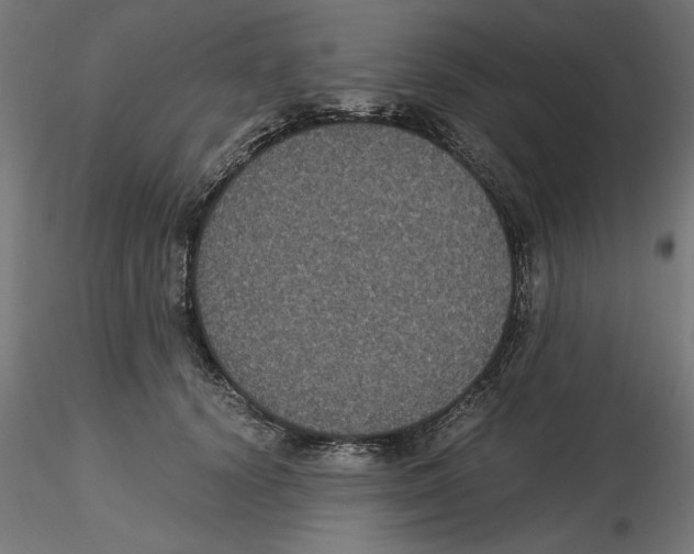 X0000116480656201001061121