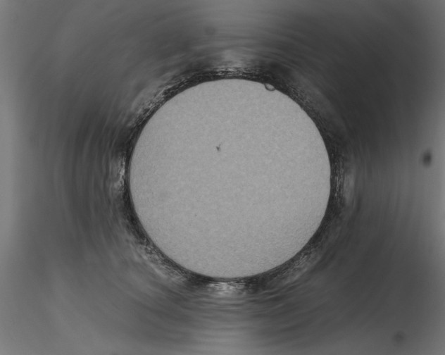 X0000116480660201001061121