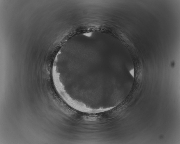 X0000116480661201001061121