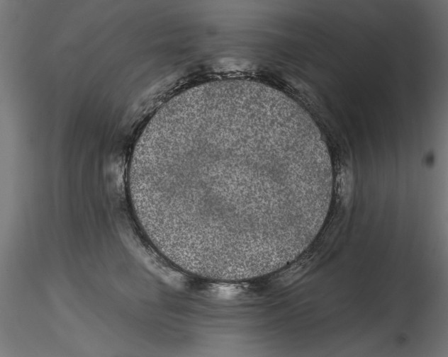 X0000116480662201001061121