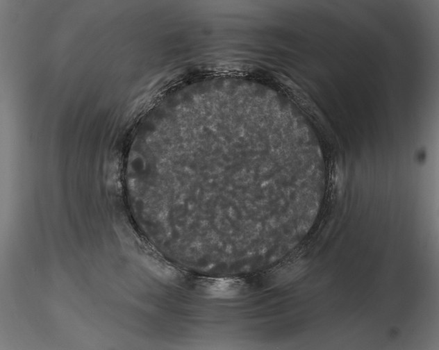 X0000116480663201001061121