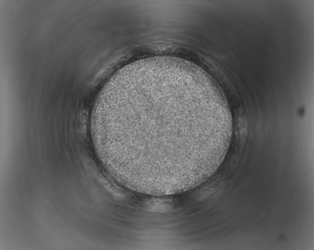 X0000116480664201001061121