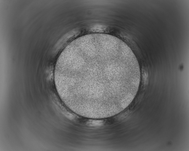 X0000116480665201001061121