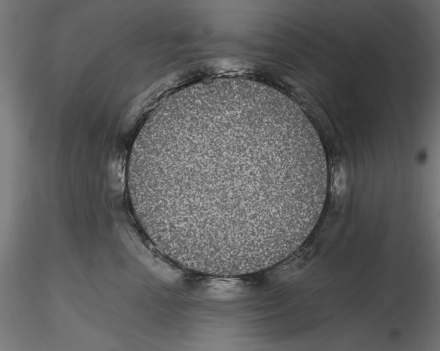 X0000116480666201001061121