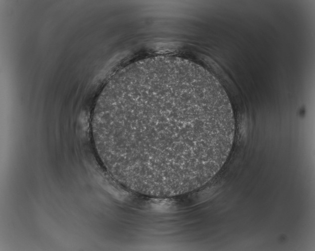 X0000116480667201001061121