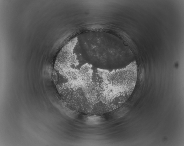 X0000116480669201001061121