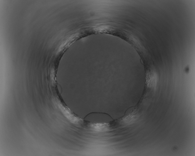 X0000116480670201001061121