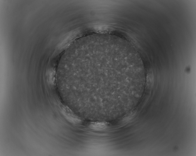 X0000116480671201001061121