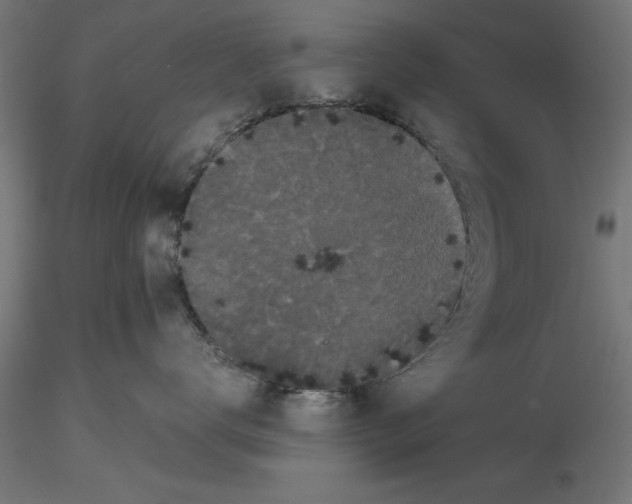 X0000116480672201001061121