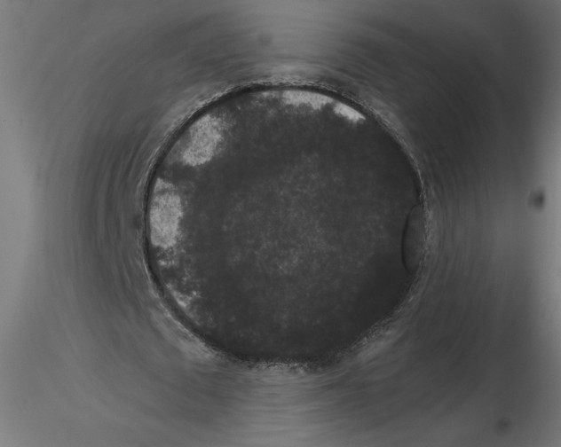 X0000116480673201001061120