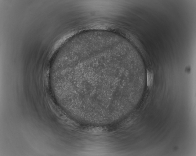 X0000116480675201001061120