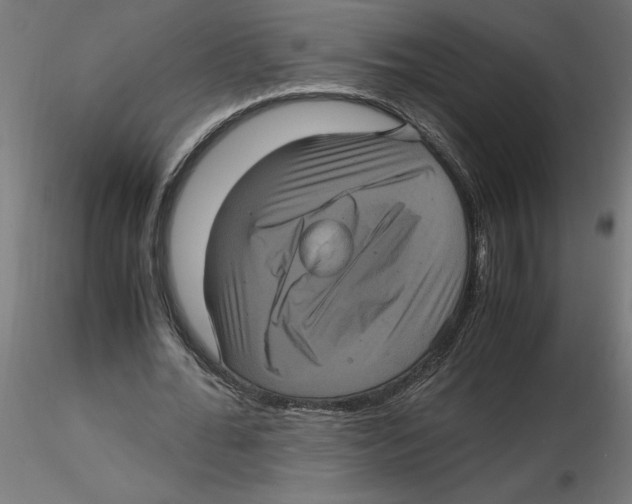 X0000116480676201001061120