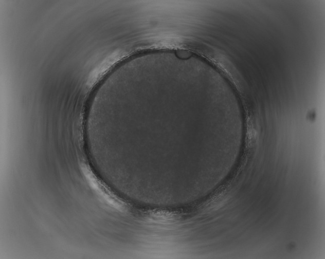 X0000116480677201001061120