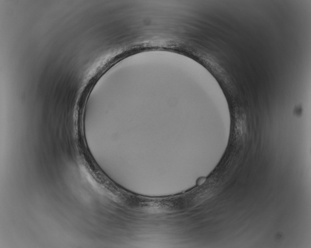 X0000116480678201001061120