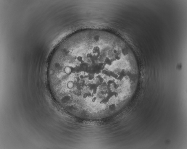 X0000116480679201001061120