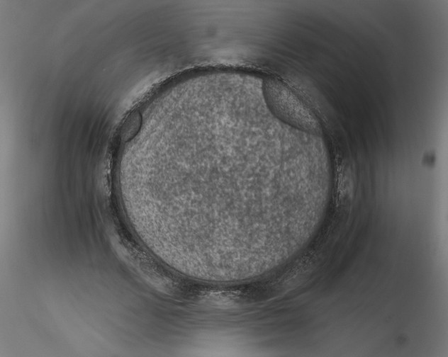 X0000116480680201001061120