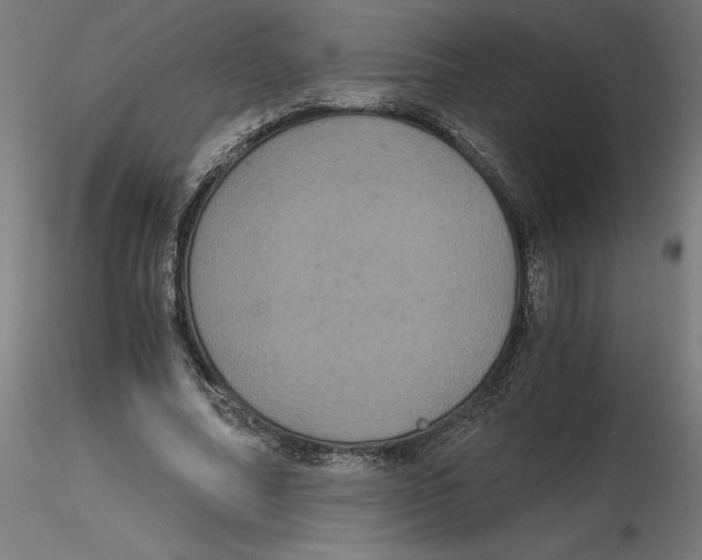 X0000116480682201001061120