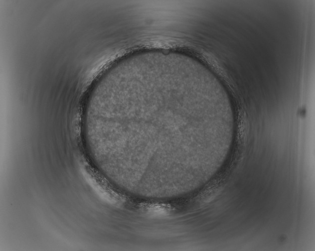 X0000116480683201001061120