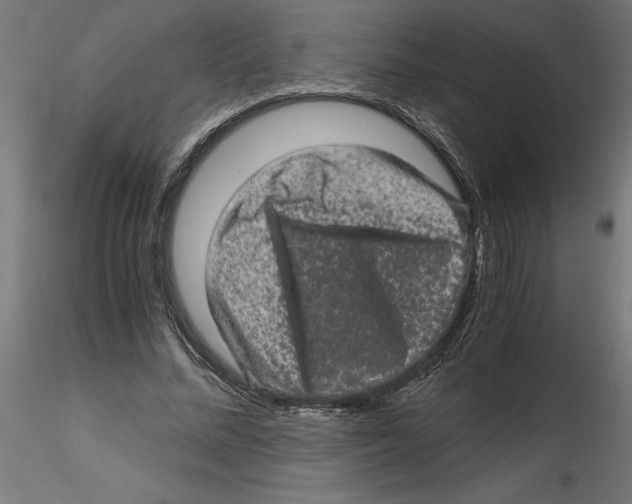 X0000116480684201001061120