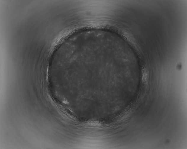 X0000116480685201001061120