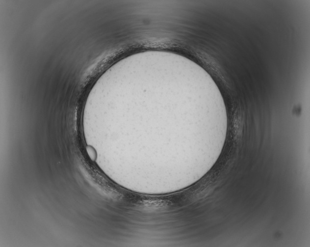 X0000116480686201001061120