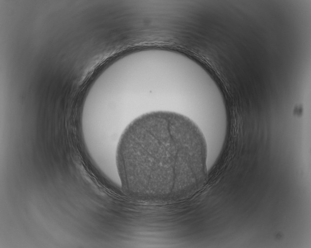 X0000116480688201001061120