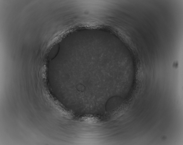 X0000116480689201001061120