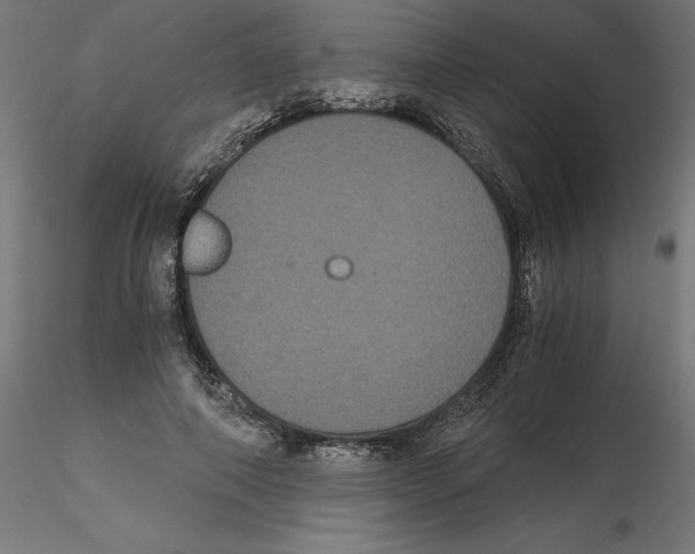 X0000116480690201001061120