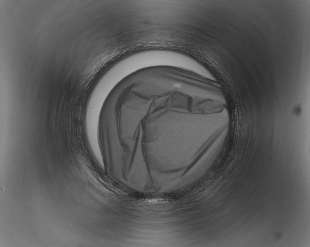 X0000116480692201001061120