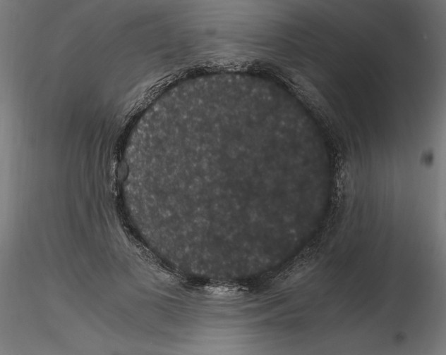 X0000116480693201001061120