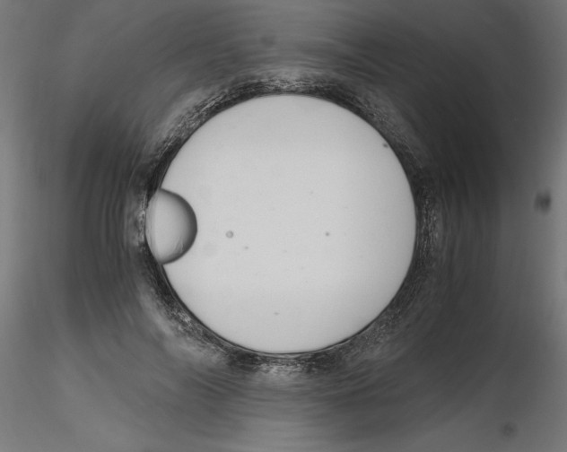 X0000116480694201001061120