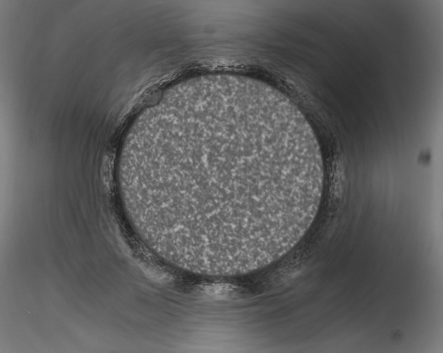 X0000116480695201001061120