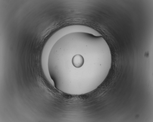 X0000116480696201001061120