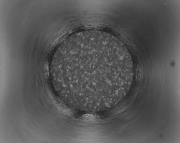 X0000116480699201001061120