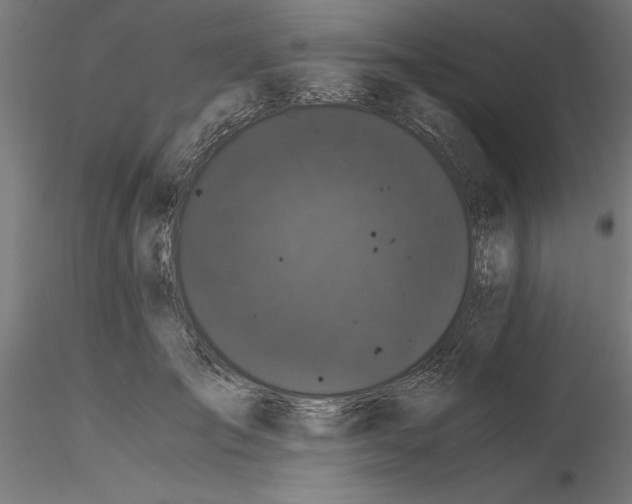 X0000116480701201001061120