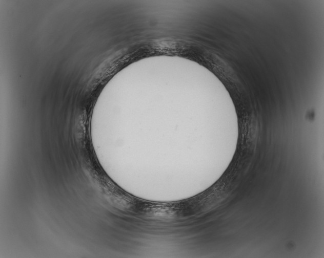 X0000116480702201001061120