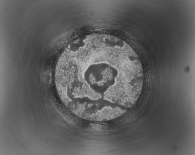 X0000116480703201001061120