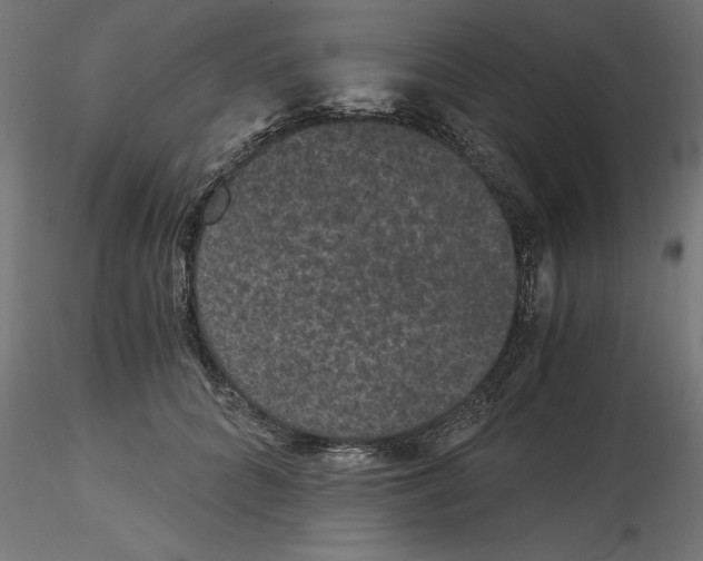 X0000116480704201001061120